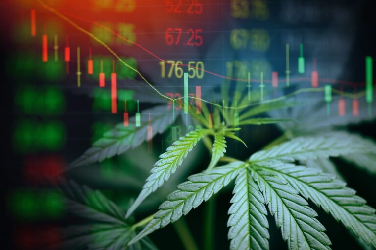 Le rapport sur le marché américain du cannabis suscite l'optimisme chez les investisseurs